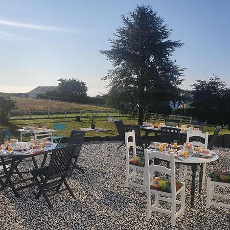 Bed and Breakfast La Veuzaine Onzain Esterno foto