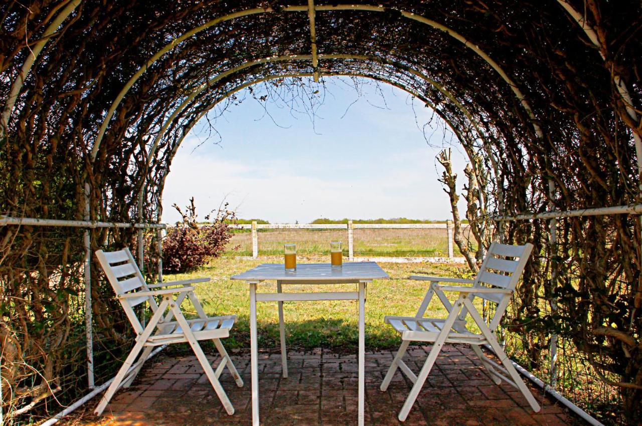 Bed and Breakfast La Veuzaine Onzain Esterno foto
