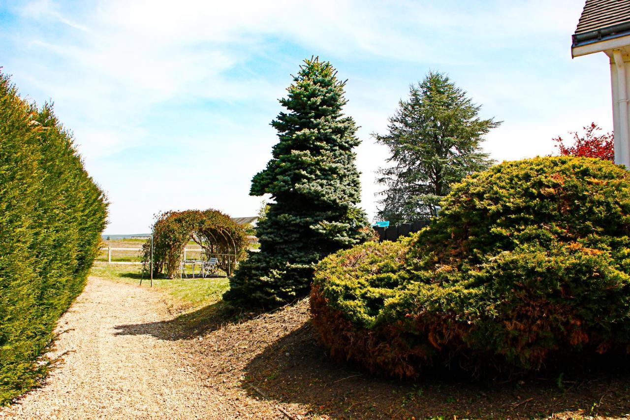 Bed and Breakfast La Veuzaine Onzain Esterno foto