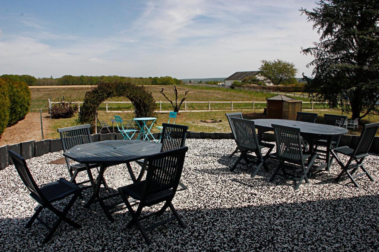 Bed and Breakfast La Veuzaine Onzain Esterno foto