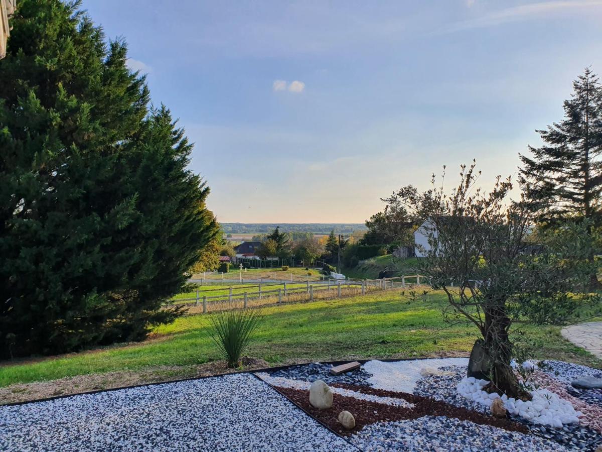 Bed and Breakfast La Veuzaine Onzain Esterno foto